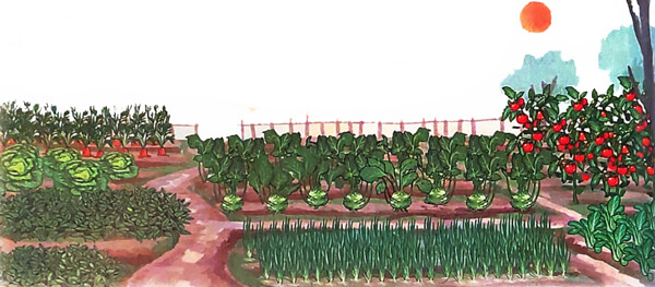 Sự tích cây thì là - Phần đọc