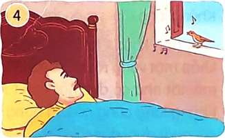 Vè chim - Nói và nghe