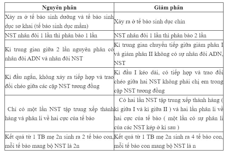 So s&aacute;nh nguy&ecirc;n ph&acirc;n v&agrave; giảm ph&acirc;n