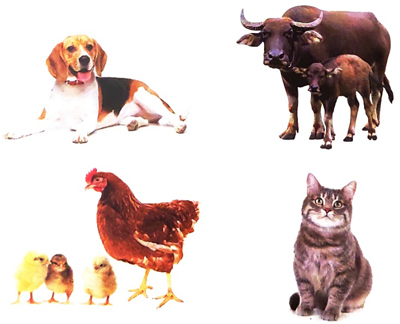 Bờ tre đón khách - Luyện tập