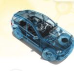 KHTN 6 bài 8 Cánh Diều