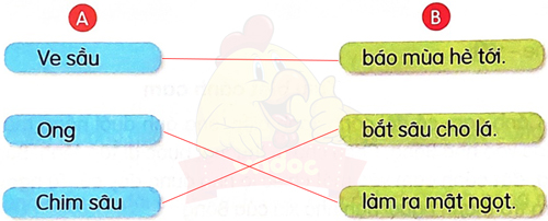 Tạm biệt cánh cam - Luyện tập