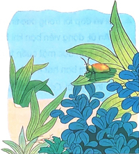 Ôn tập giữa học kì 2 - Tiết 3, 4