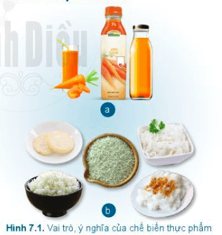 Công nghệ 6 Cánh Diều