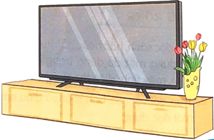 Từ chú bồ câu đến In-tơ-nét - Luyện tập