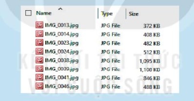 Tin học 6 bài 3 Kết nối tri thức