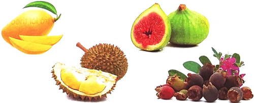 Thư gửi bố ngoài đảo - Phần viết