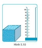 Giải SBT KHTN6 Kết nối tri thức bài 5