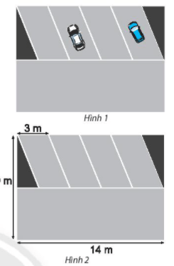 Giải Toán lớp 6 bài 3 CTST