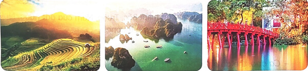 Trên các miền đất nước - Phần đọc