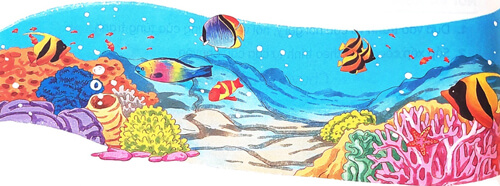 Khám phá đáy biển ở Trường Sa - Phần đọc