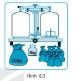 Giải KHTN 6 Kết nối tri thức bài 6