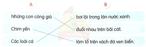 Khám phá đáy biển ở Trường Sa - Luyện tập