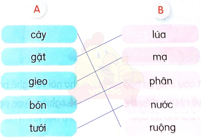 Cánh đồng quê em - Luyện tập