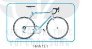 Giải SBT KHTN 6 Kết nối tri thức