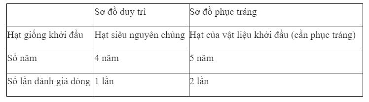 Quy tr&igrave;nh sản xuất giống theo sơ đồ duy tr&igrave; v&agrave; phục tr&aacute;ng c&oacute; g&igrave; giống v&agrave; kh&aacute;c nhau