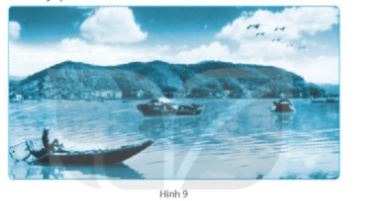 Giải SBT KHTN lớp 6 bài 9