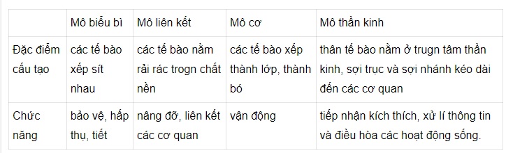 So s&aacute;nh 4 loại m&ocirc; theo mẫu ở bảng 4