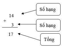Số hạng và tổng tổng hợp kiến thức toán lớp 2