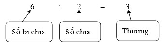 Số bị chia – số chia – thương