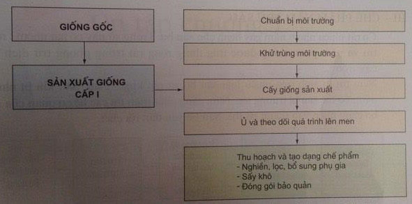 Thế n&agrave;o l&agrave; chế phẩm vi khuẩn trừ s&acirc;u?