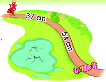 Bài 5 trang 78 Toán lớp 2