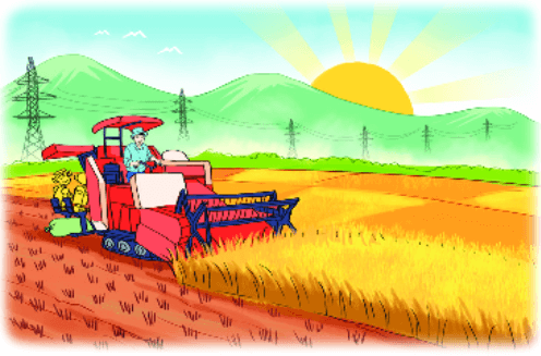 Bài 2 trang 74 Toán lớp 2