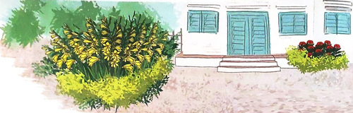 Bài 1: Khu vườn tuổi thơ