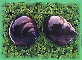 Bài 2: Con suối bản tôi