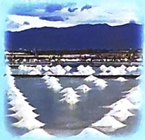 Bài 2: Con suối bản tôi