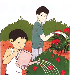 Bài 4: Bên cửa sổ