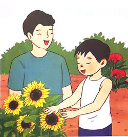 Bài 4: Bên cửa sổ