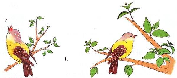 Bài 1: Chuyện của vàng anh