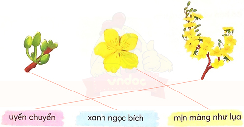 Bài 4: Hoa mai vàng