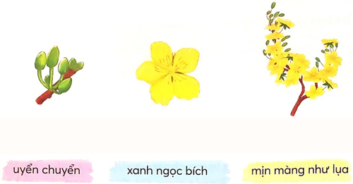 Bài 4: Hoa mai vàng