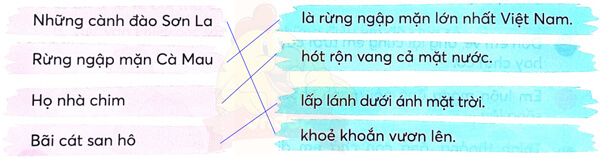 Bài 2: Sóng và cát ở Trường Sa