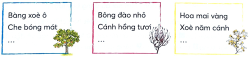 Bài 3: Cây dừa