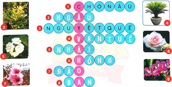 Bài 4: Cây và hoa bên lăng Bác