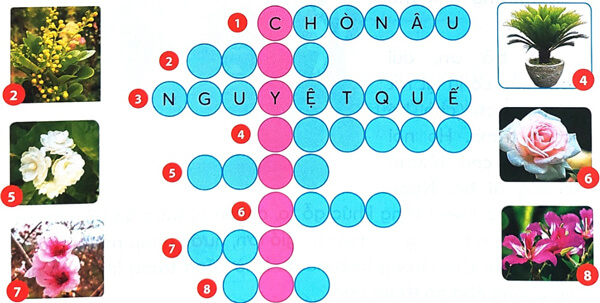 Bài 4: Cây và hoa bên lăng Bác