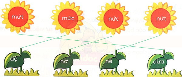 Bài 4: Cây và hoa bên lăng Bác