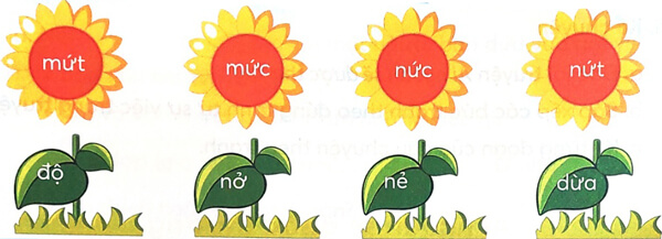 Bài 4: Cây và hoa bên lăng Bác