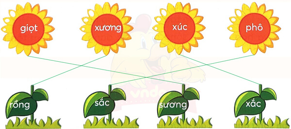 Bài 4: Cây và hoa bên lăng Bác