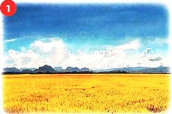 Bài 1: Cây nhút nhát 