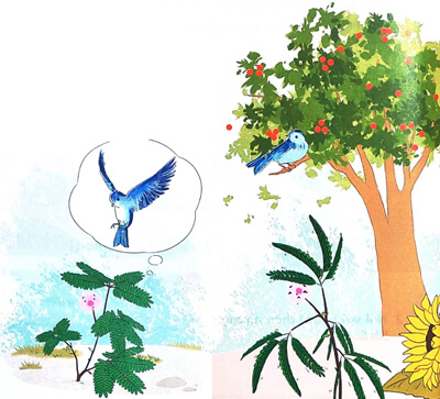 Bài 1: Cây nhút nhát 