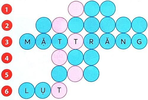 Bài 6: Cuộc giải cứu bên bờ biển