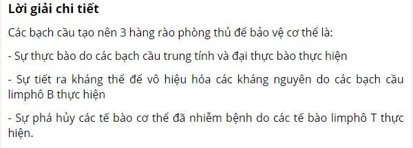 C&aacute;c bạch cầu đ&atilde; tạo n&ecirc;n những h&agrave;ng r&agrave;o ph&ograve;ng thủ n&agrave;o để bảo vệ cơ thể?