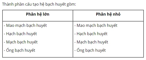 Hệ bạch huyết gồm những th&agrave;nh phần cấu tạo n&agrave;o?