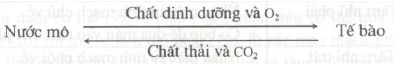 Cho biết sự lu&acirc;n chuyển bạch huyết nơi đ&oacute; nhờ bộ phận n&agrave;o