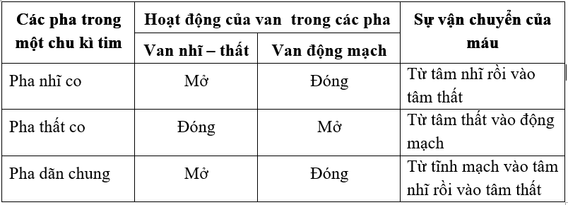  Bảng 17-2. Hoạt động của c&aacute;c van trong sự vận chuyển m&aacute;u