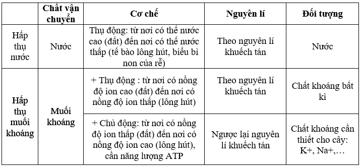 H&atilde;y ph&acirc;n biệt cơ chế hấp thụ ion kho&aacute;ng ở rễ c&acirc;y?